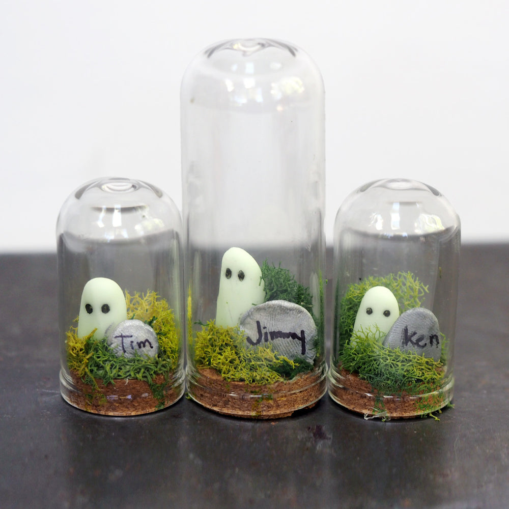 Pet Ghost Friend - Glow-in-the-dark Terrarium