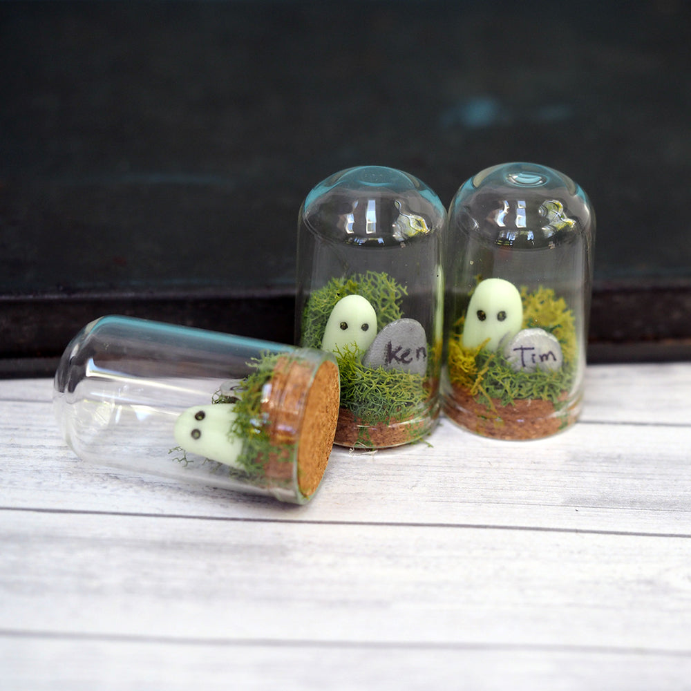 Pet Ghost Friend - Glow-in-the-dark Terrarium