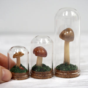
            
                Load image into Gallery viewer, Mushroom Curiosity Jar Terrarium - Small
            
        