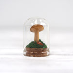 Mushroom Curiosity Jar Terrarium - Small