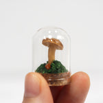 Mushroom Curiosity Jar Terrarium - Small