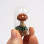 Mushroom Curiosity Jar Terrarium - Medium