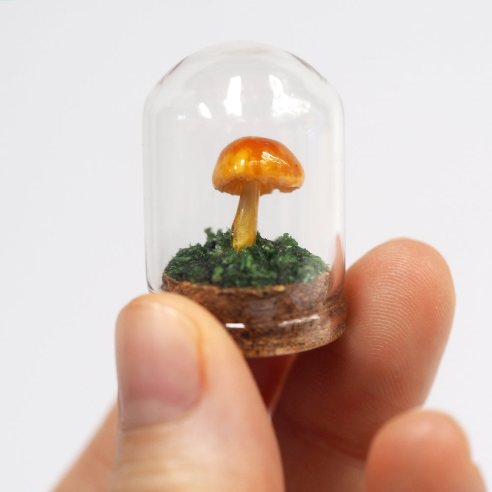 Mushroom Curiosity Jar Terrarium - Small