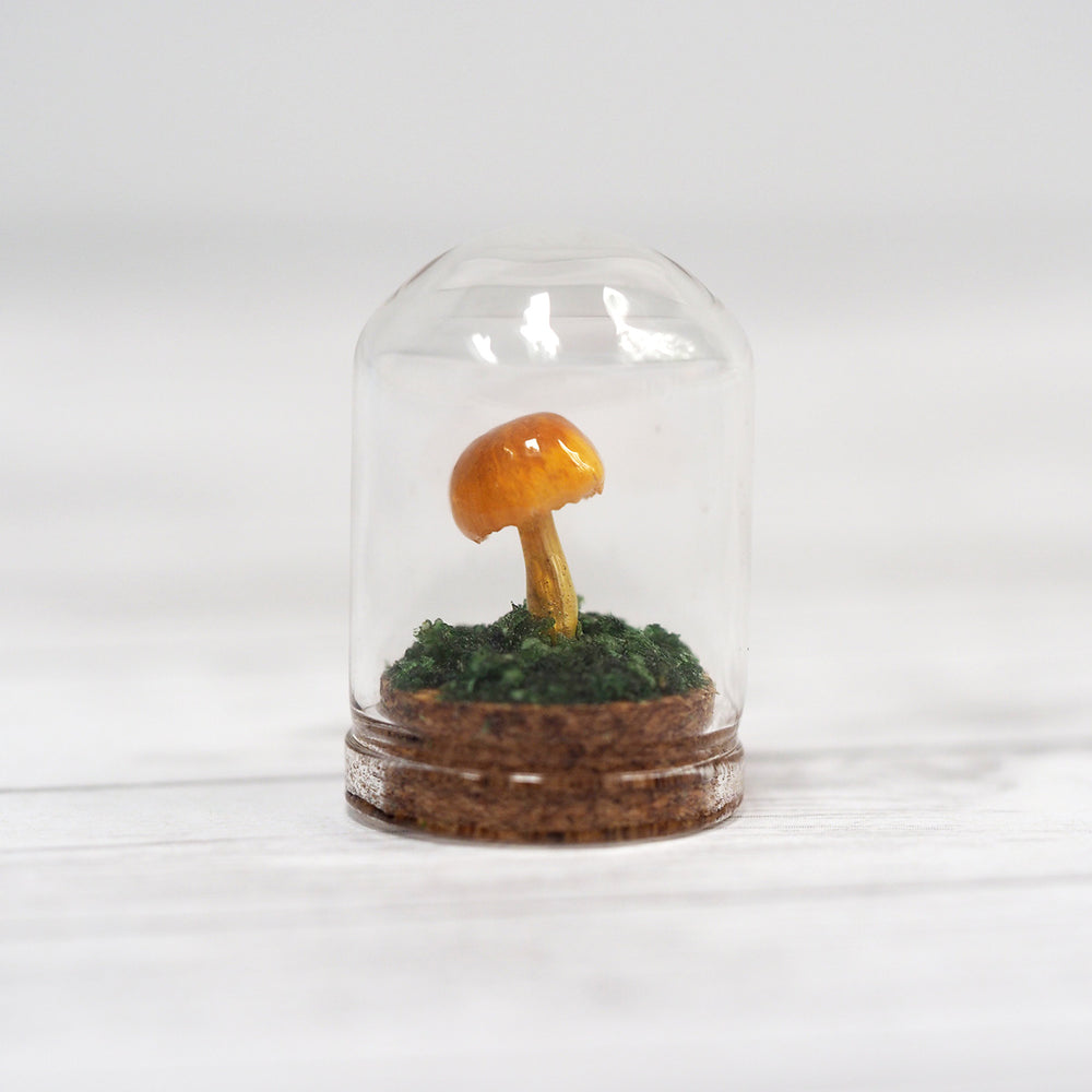 
            
                Load image into Gallery viewer, Mushroom Curiosity Jar Terrarium - Small
            
        