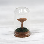 Mushroom Curiosity Jar Terrarium - Medium