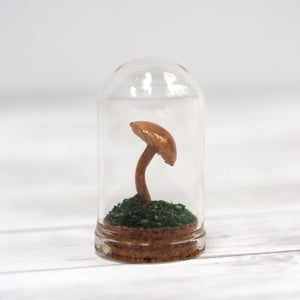 Mushroom Curiosity Jar Terrarium - Medium