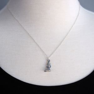 
            
                Load image into Gallery viewer, Tiny Silver Microscope Necklace
            
        