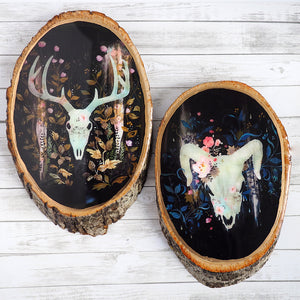 Fine Art Wooden Plaque - Ram Skull & Flowers