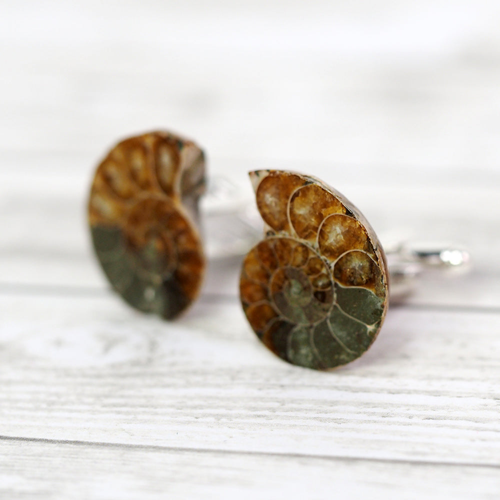 
            
                Load image into Gallery viewer, Ammonite Fossil Cufflinks
            
        