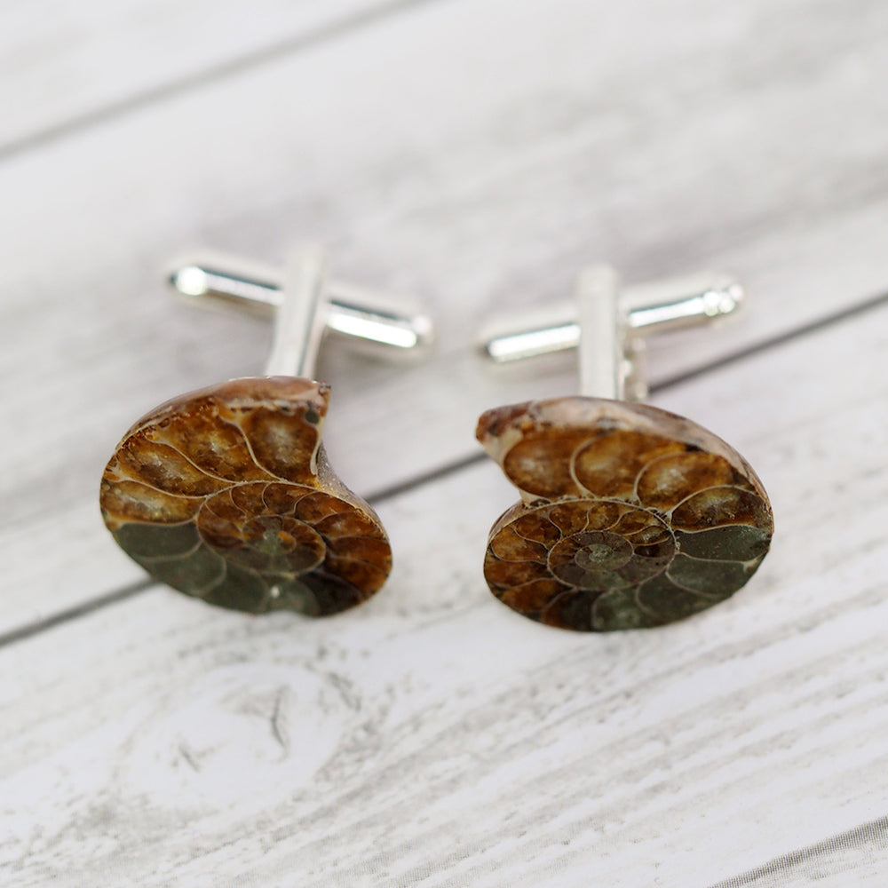 Ammonite Fossil Cufflinks
