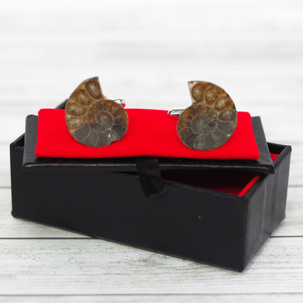 
            
                Load image into Gallery viewer, Ammonite Fossil Cufflinks
            
        