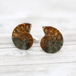 Ammonite Fossil Cufflinks