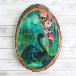 Fine Art Wood Plaque - Black Swan