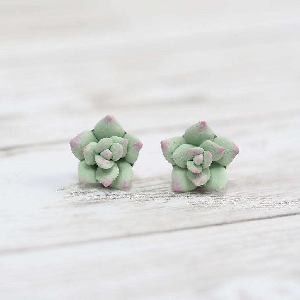 Succulent earrings deals