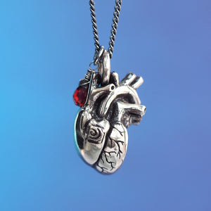 
            
                Load image into Gallery viewer, Silver Anatomical Heart Necklace with Garnet Pendant
            
        